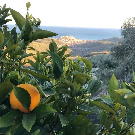 Casa Della Mimosa Imperia